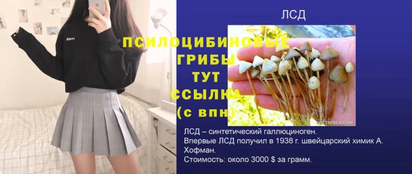 МДПВ Алексин