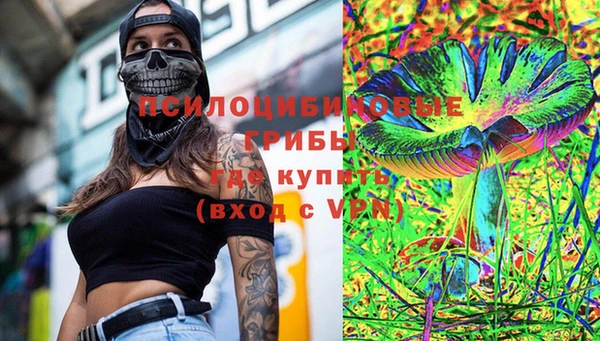 МДПВ Алексин