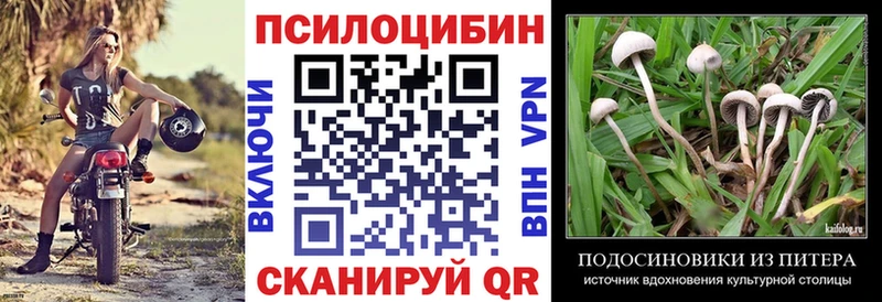 Псилоцибиновые грибы прущие грибы  наркошоп  Грязовец 